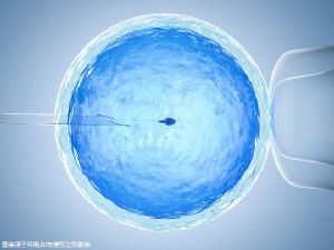 清砚堂中医馆